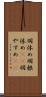 羽休め Scroll