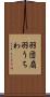 羽団扇 Scroll