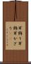 耳飾り Scroll
