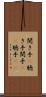 聞き手(P) Scroll
