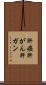 肝癌 Scroll