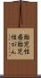 胎児性癌 Scroll