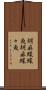 胡麻蝶蝶魚 Scroll