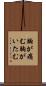 胸が痛む Scroll