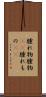 腫れ物 Scroll