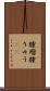 腫瘤 Scroll