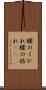 腰のくびれ Scroll