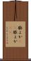 膨よか(rK) Scroll