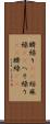 臍繰り(rK) Scroll