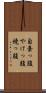自棄っ腹 Scroll