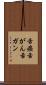 舌癌 Scroll