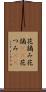 花摘み Scroll