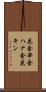 花金 Scroll