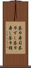 茶巾寿司 Scroll