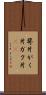 萼片 Scroll