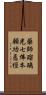 藥師瑠璃光七佛本願功悳經 Scroll