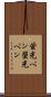 蛍光ペン Scroll