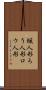 蝋人形 Scroll