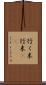 行く末 Scroll