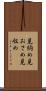 見納め Scroll