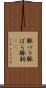 豚バラ Scroll