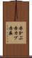 赤かぶ Scroll
