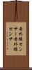 赤外線センサー Scroll
