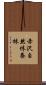 赤沢自然休養林 Scroll
