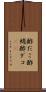 酢だこ Scroll