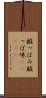 酸っぱみ Scroll