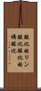 酸化的リン酸化 Scroll
