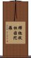 釋迦提桓因陀羅 Scroll