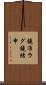 鐃准ラグ鐃緒申 Scroll