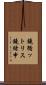 鐃循ットリス鐃緒申 Scroll