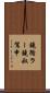 鐃循ラー鐃叔駕申 Scroll