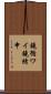 鐃循ワイ鐃緒申 Scroll