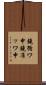 鐃循ワ申鐃准ッワ申 Scroll