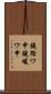 鐃循ワ申鐃峻ワ申 Scroll