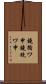 鐃循ワ申鐃銃ワ申 Scroll