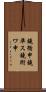 鐃循￥申鐃準ス鐃術ワ申 Scroll