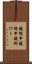鐃循￥申鐃緒申鐃術ワー Scroll