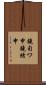 鐃旬ワ申鐃緒申 Scroll