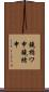 鐃楯ワ申鐃緒申 Scroll