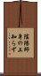 陰陽師身の上知らず Scroll