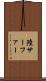 陸サーファー Scroll
