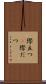 際立つ(P) Scroll