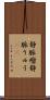 静脈瘤 Scroll