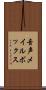 音声メイルボックス Scroll