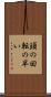 頭の回転の早い Scroll