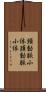 頸動脈小体 Scroll